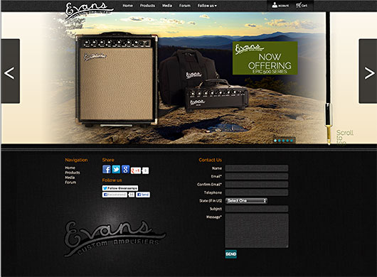 Evans Custom Amplifiers